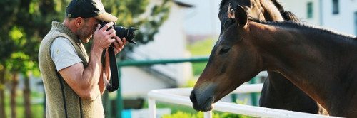 photographer and horse