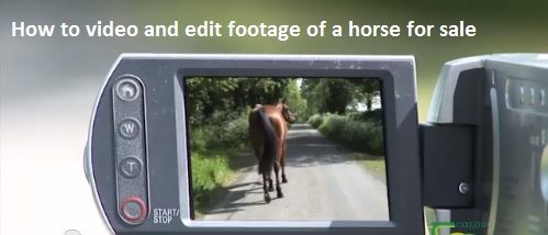 teagasc-video-series