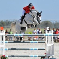 Cabrio - Irish Warmblood