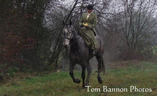 Photo Credit Tom Bannon from Side-Saddle Asc 