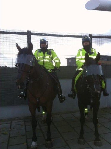 Two Irish Sport horses in the UK mounted unit policing in Highbury for  Arsenal vs Liverpool match.