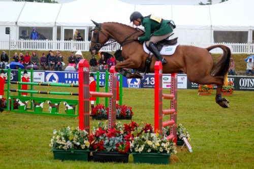 Fenyas Elegance at Blenheim. Photo by Samantha Clark