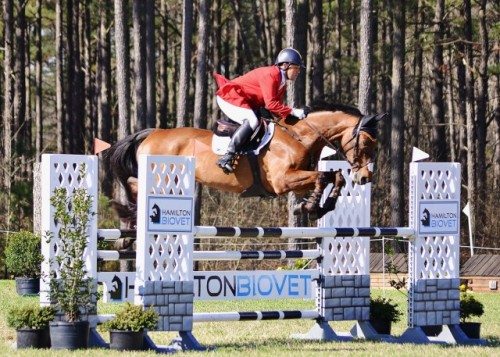 Buck-Davdidson-Ballynoe-Castle