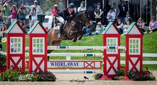 William Fox-Pitt (GBR) and Bay My Hero (ISH).  Photo credit: Alec Thayer.