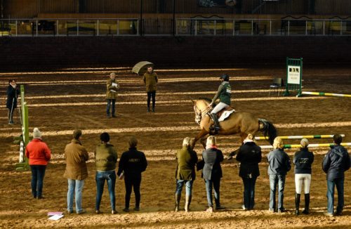 18 Novemeber 2015; XXX. Horse Sport Ireland Level 3 Coach course, Cavan Equestrian Centre, Latt, Co. Cavan. Picture credit: Sam Barnes / SPORTSFILE *** NO REPRODUCTION FEE ***