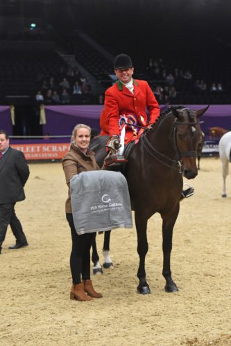 irish-horse-gateway-small-show-hunter-of-the-year-champion