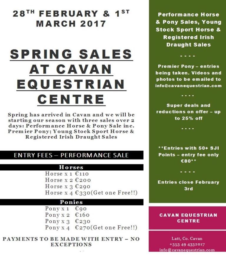 Performance Horse & Pony Sale at Cavan Equestrian Centre General