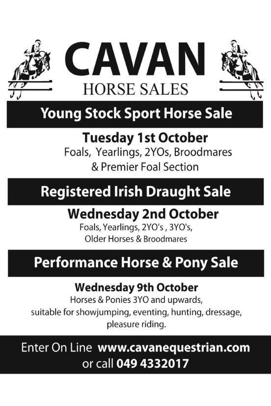 Cavan Horse Sales 1st & 2nd October General