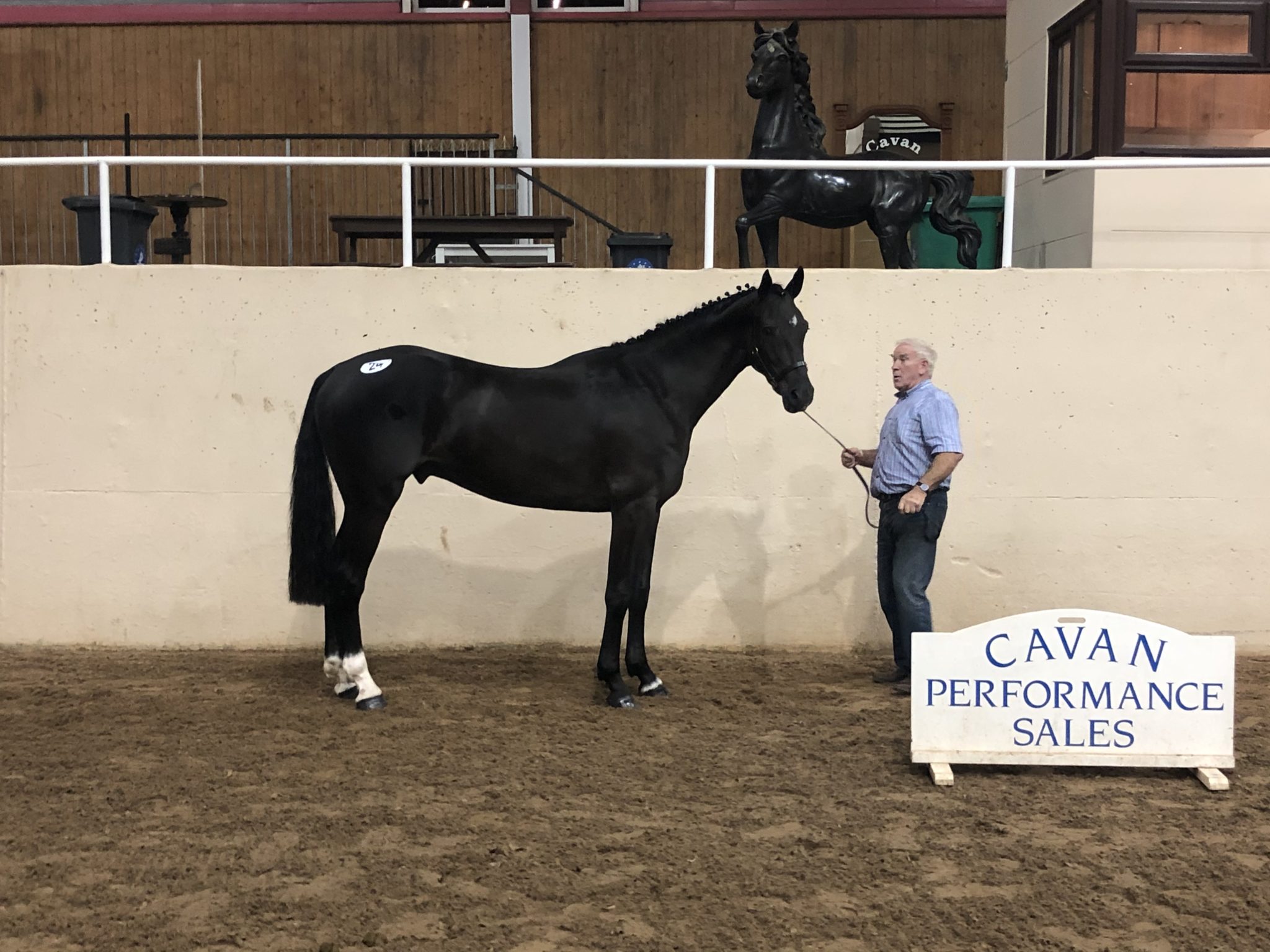 Impressive Trade at Cavan August Sales General