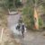 Screenshot_20230208-223155_Video Player