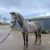 IMG-20230207-WA0008