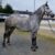 Screenshot_20230722_141831_Gallery
