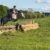 IMG-20230512-WA0011