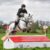 SHM_9743