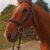 Screenshot_20230921_132837_com.android.gallery3d~2