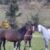 IMG-20211121-WA0006