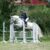 IMG-20230628-WA0001