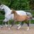 FB_IMG_1695828706684