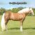 quicksquarenew_202311199836682