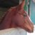 VideoCapture_20231118-145440