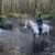 IMG-20250102-WA0013