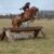 Premier Dashing Boy Poland