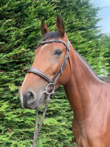 10B60F4D-F060-4174-85BB-139F736D08AA 10B60F4D-F060-4174-85BB-139F736D08AA