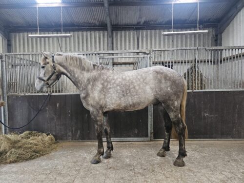 9ddc356c-6289-4f13-ba6e-baf6e378c83a 9ddc356c-6289-4f13-ba6e-baf6e378c83a