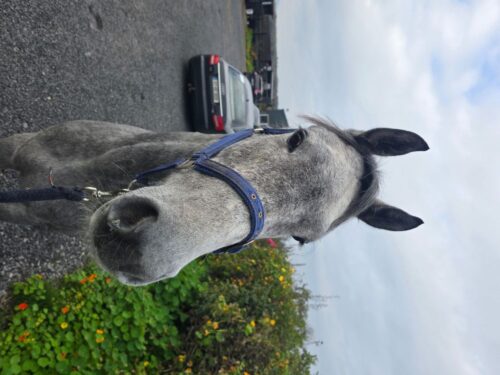 1000020675 1000020675