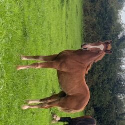 FCF2E75D-5F7D-459D-9242-AE86BE1DEE0A