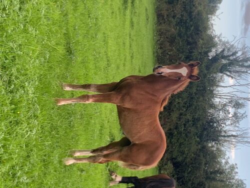 FCF2E75D-5F7D-459D-9242-AE86BE1DEE0A FCF2E75D-5F7D-459D-9242-AE86BE1DEE0A