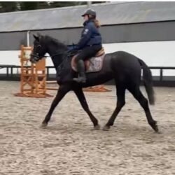 9781F53A-0892-48FF-B3EA-8DBBA3967993