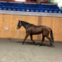 C87F1037-13AC-4943-9627-1CED8BF558E9