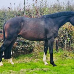 1129edf0-2866-4e19-9f13-68c9e643d999