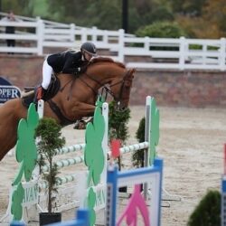 F73210B3-FD30-41A1-A279-82FF41CEAAE0