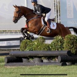 828b5601-89cd-43c4-b44f-5c015e4d7460