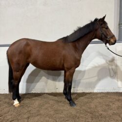 26b01b46-a817-45f5-aa76-1e8593d577d5