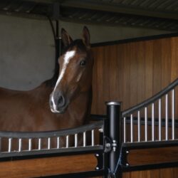 4fde7a8e-f18e-4b8e-b8ad-5dbdffd46b2f