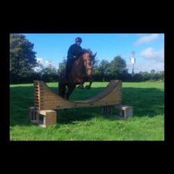 e474c786-25b1-4839-9dc6-3b1fc8e89ac0