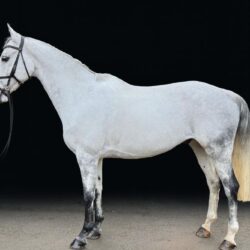 WhatsApp Image 2025-10-27 at 9.38.00 PM