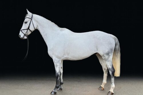 WhatsApp Image 2025-10-27 at 9.38.00 PM WhatsApp Image 2025-10-27 at 9.38.00 PM