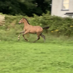 5B9A64C1-3F3A-4F35-8577-6A4FEEC1E368