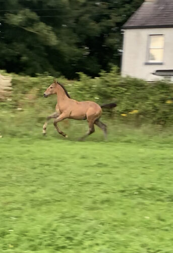 5B9A64C1-3F3A-4F35-8577-6A4FEEC1E368 5B9A64C1-3F3A-4F35-8577-6A4FEEC1E368