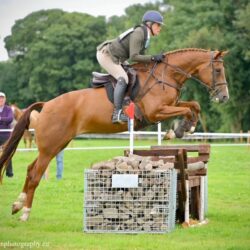 529c8f67-9e65-44f6-80d0-3a361855fe4f