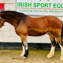 252D0246-508B-4230-92D0-9AD8E9A38BD1