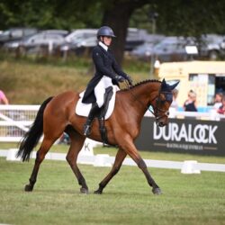 ccae7ef9-2328-44e2-a6ac-9fe7bd9acbfd