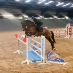 c3328a82-3206-44a7-8725-e57d5ea34b8f