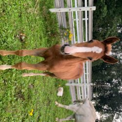 ADEB001B-BC1D-44CD-B5A7-6507F7A2871A