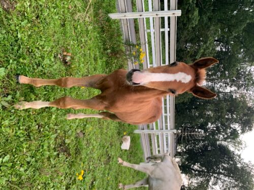 ADEB001B-BC1D-44CD-B5A7-6507F7A2871A ADEB001B-BC1D-44CD-B5A7-6507F7A2871A