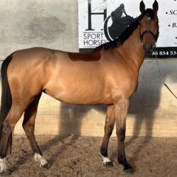 e04c6c64-b835-4101-8d3c-4398f6342693